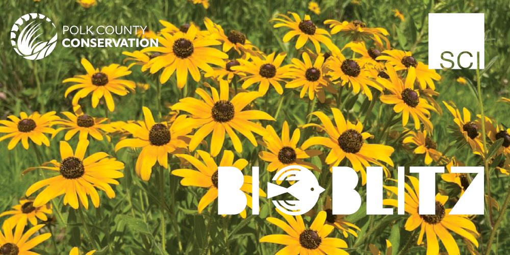 BioBlitz at Jester Park